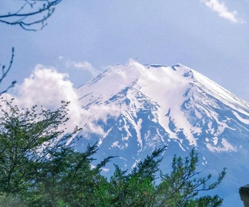 Tokyo:Mt. Fuji 5th Station & Onsen Day Trip | Summer Special