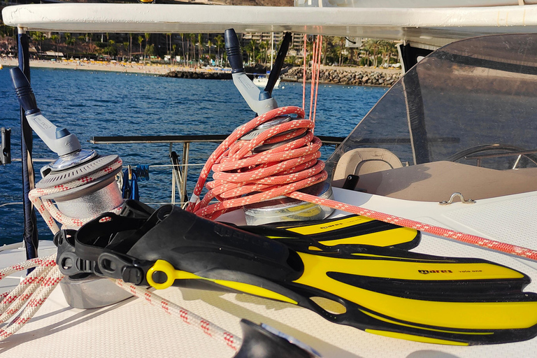 Tenerife: PRIVATE Catamaran cruise with Lunch and Drinks