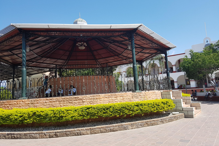 From Huatulco: Pochutla Market Tour with Local Guide