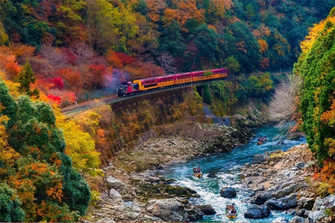 Osaka: Kyoto Private Day Tour with Sagano Scenic Railway Private Car Package