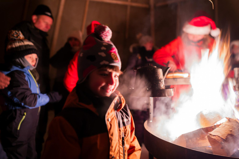 罗瓦涅米：神奇的圣诞老人和北极光体验