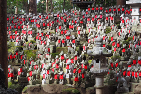 1-Day Tour from Nagoya: Korankei Gorge & Inari Fox Shrines