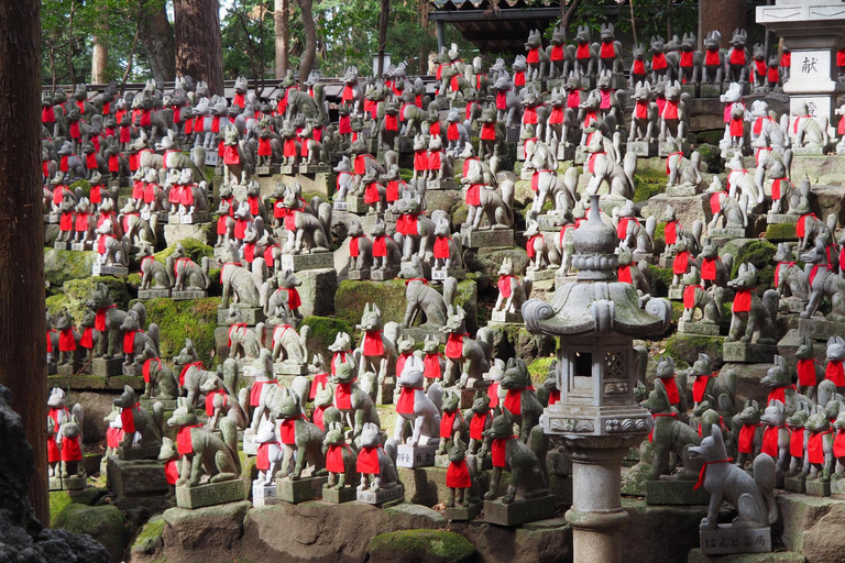 1-Day Tour from Nagoya: Korankei Gorge & Inari Fox Shrines