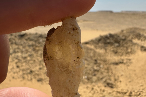 Fayoum: Qarun Sahara Safari With( ATV ) Quad bike From Cairo Private 4 Hours Quad Included Tickets