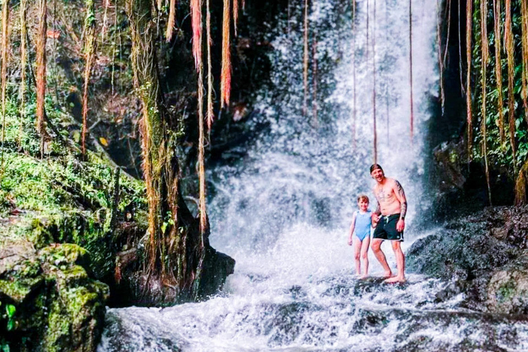 Bali: Graceful Art, Sacred Forest, Serenity and Lotus Bloom