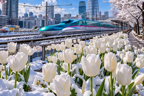 Tokyo Prestige: Luxury Chauffeur Tour with Private Guide 10 Hours Customized Tokyo Tour in Luxury Alford or Vellfire
