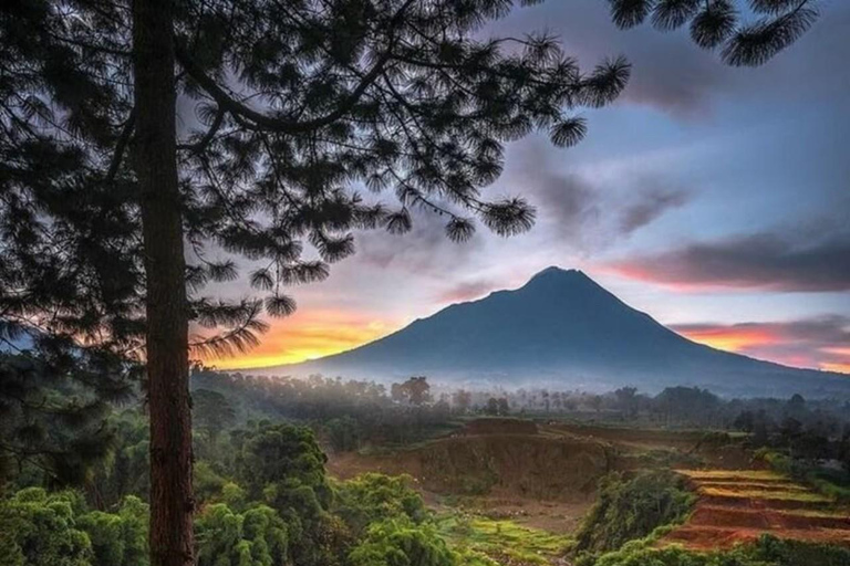 Yogyakarta; waterval en terrasvormige rijstvelden