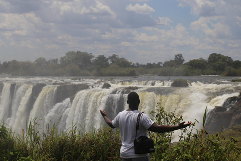 Victoria Falls Guided Tour with High Tea