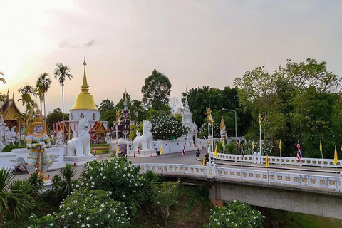 Chiang Mai: Temple Visit & Elephant Nature Observation