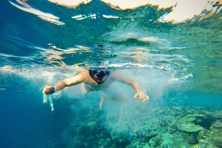 Excursión de snorkel en yate con almuerzo desde El CairoViaje de buceo