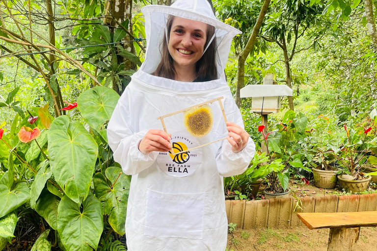 Ella: Bee Farm Tour With Honey Tasting Experience