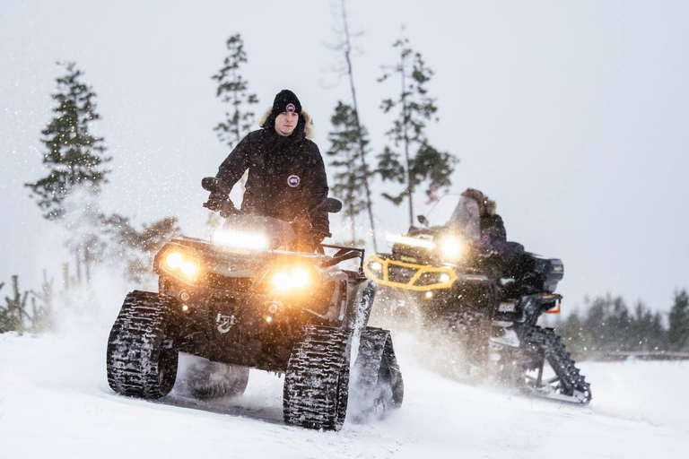 Spedizione &quot;INTO THE WILD&quot; Safari e pranzo in Igloo di vetro