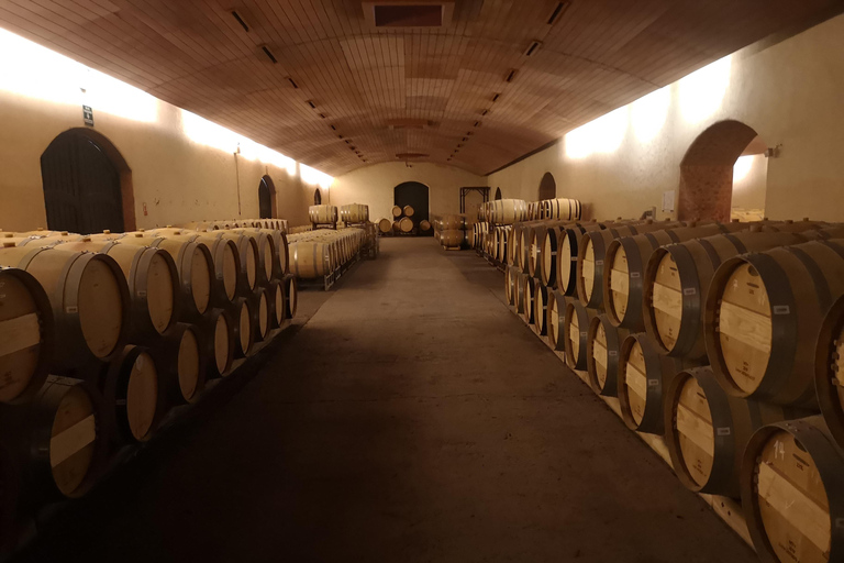 Tour del vino con 7 degustazioni + trasporto privato + Lapislazzuli