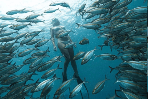 Lombok: Romantic Island Escape—Gili Nanggu, Sudak & Kedis Start From : Tetebatu,Bangsal Port,Teluk Nara Port