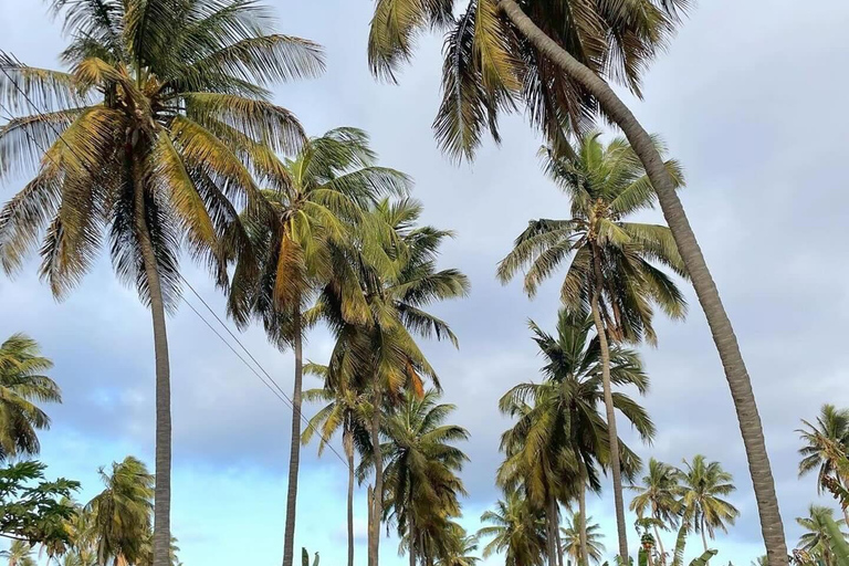 Wyspa Santiago – niesamowita wycieczka