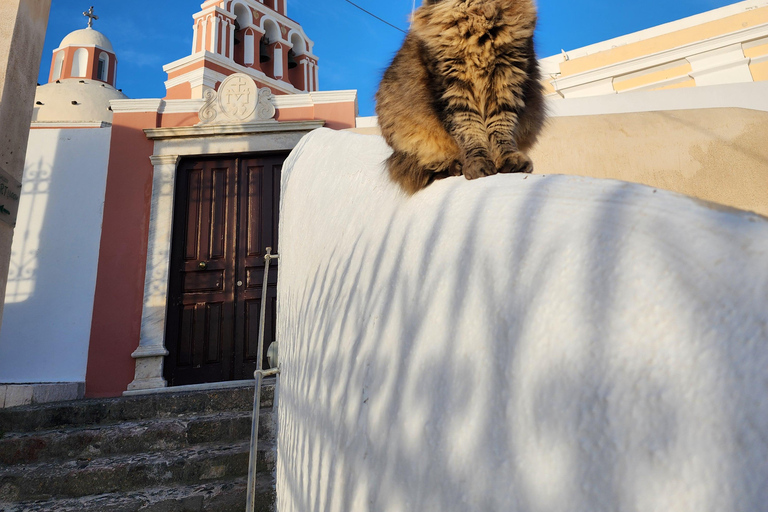 Santorini: Island Tour with Transfers