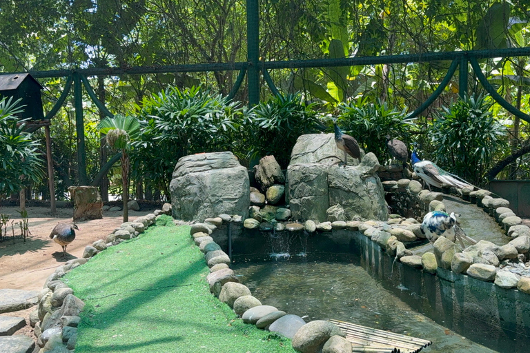 فينبيرل فينووندرز نام هوي آن مع سفاري وحديقة مائيةجولة خاصة بدون بوفيه أو عربة