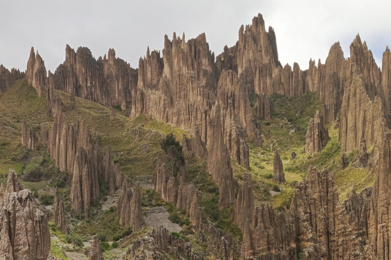 Visite d'une demi-journée Valle de las animas, vallée de la lune, killi killi