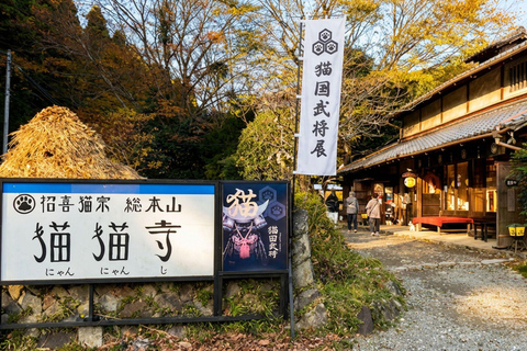 Kyoto: Kamigamo Shrine, Silver Pavilion & Nishiki Mkt Tour