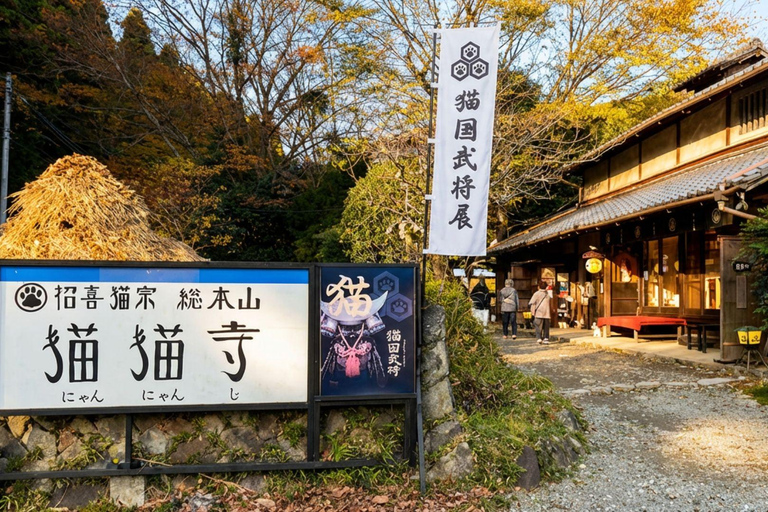 Kyoto: Kamigamo Shrine, Silver Pavilion & Nishiki Mkt Tour