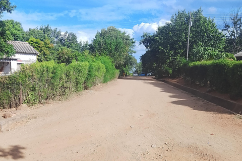 Victoria Falls: Walking Tour with Curio Market Visit