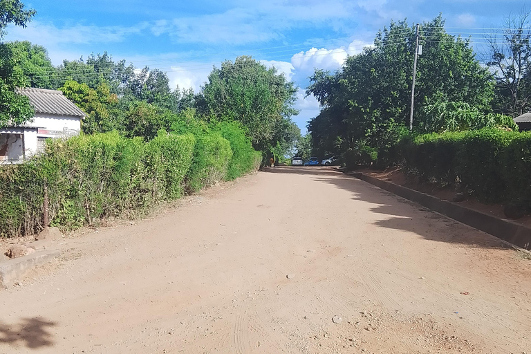 Victoria Falls: Walking Tour with Curio Market Visit