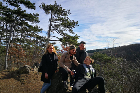 فيينا جولة خاصة سيراً على الأقدام عبر الريف الجبلي