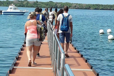 Dagtrip naar Wasini eiland om dolfijnen te kijken en te snorkelen