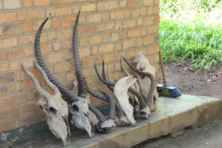 From Entebbe: 3-Day Lake Mburo Safari with Boat Cruise