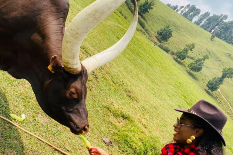 From Kigali: Bigogwe Cow Experience, Hiking & farm with Meal