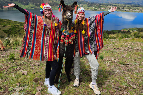 Cuzco : Promenade dans la nature avec des alpagas et des lamas.