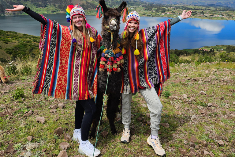 Cuzco : Promenade dans la nature avec des alpagas et des lamas.
