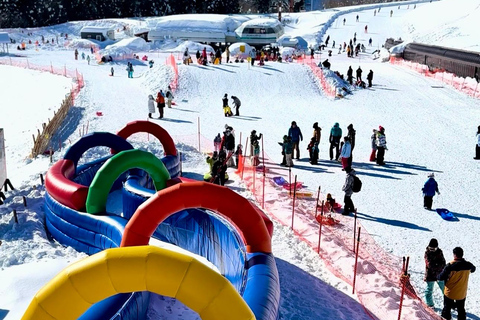 Nagoya: Takasu Snow Park Ski & Snowboard Day Trip Nagoya : Include bus fare & admission to "YUKINOS"