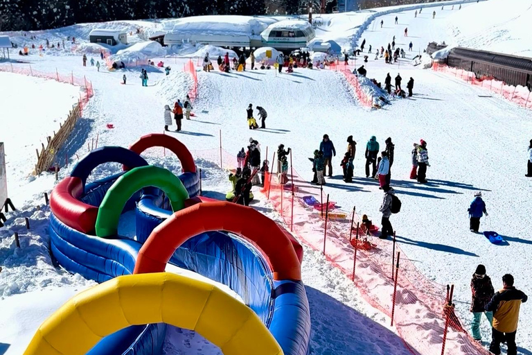 Nagoya: Takasu Snow Park Ski & Snowboard Day Trip Nagoya : Include bus fare & admission to "YUKINOS"