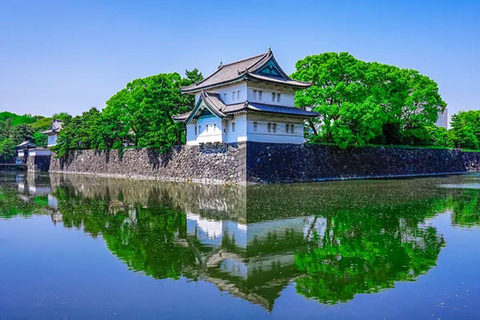 Visite privée de 5 heures en cas d&#039;escale à Tokyo