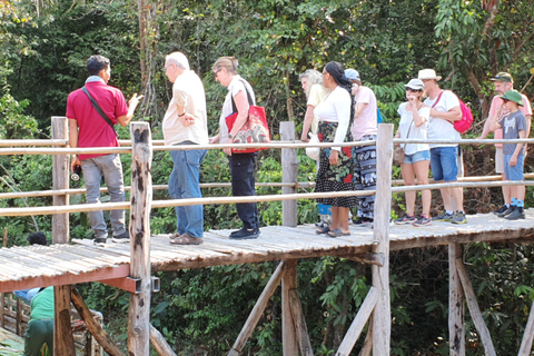 Siem Reap: Tur i liten grupp till Kulen Elephant ForestSiem Reap: Smågruppstur till Kulen Elephant Forest