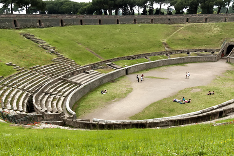 Desde el Puerto de Nápoles Excursión de un día a Pompeya y el Vesubio