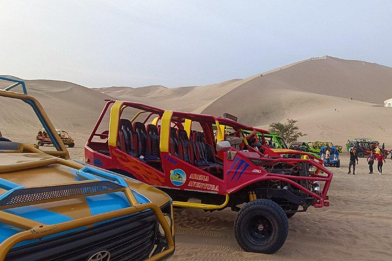 Full Day Paracas and Huacachina Sunset Tour - An Epic Exp!