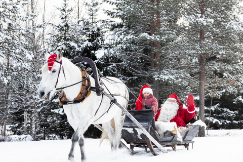 Rovaniemi: Northern Lights Tour with Finnhorses Sleigh Ride