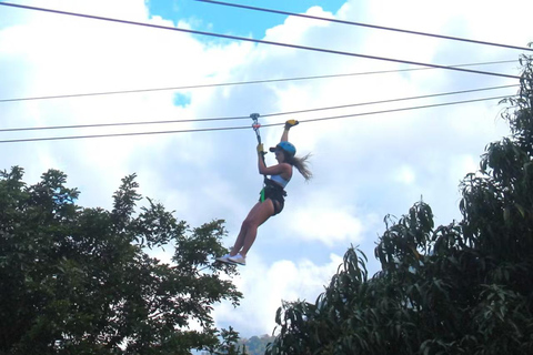 Río Grande : Zipline dans la forêt tropicale
