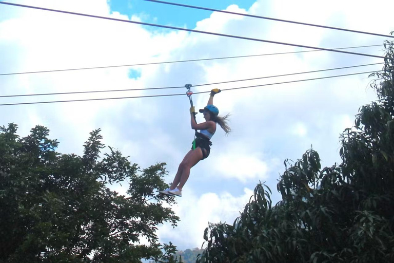 Río Grande : Zipline dans la forêt tropicale