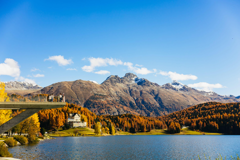 Swiss Alps by Train: Bernina & St. Moritz from Milan Tour with Standard Carriage