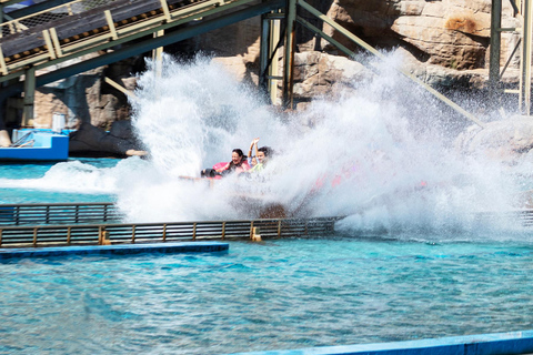 Istanbul: Vialand Theme Park Ticket with Round-Trip Shuttle Istanbul Vialand Theme Park Entry Ticket with Transfer