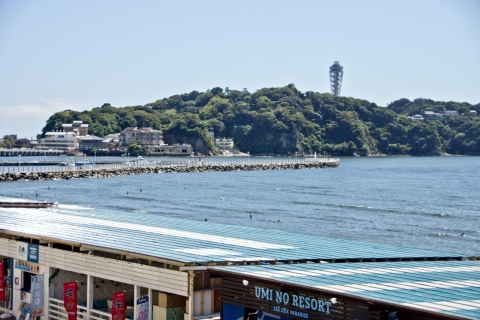Depuis Tokyo : Visite en bus d'une journée à Kamakura et EnoshimaIkebukuro Départ