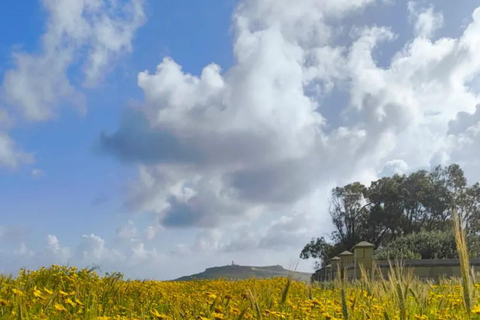 Gozo: Family Winery Estate Tour with Wine Tasting Gozo: Family Estate Tour with Wine Tasting