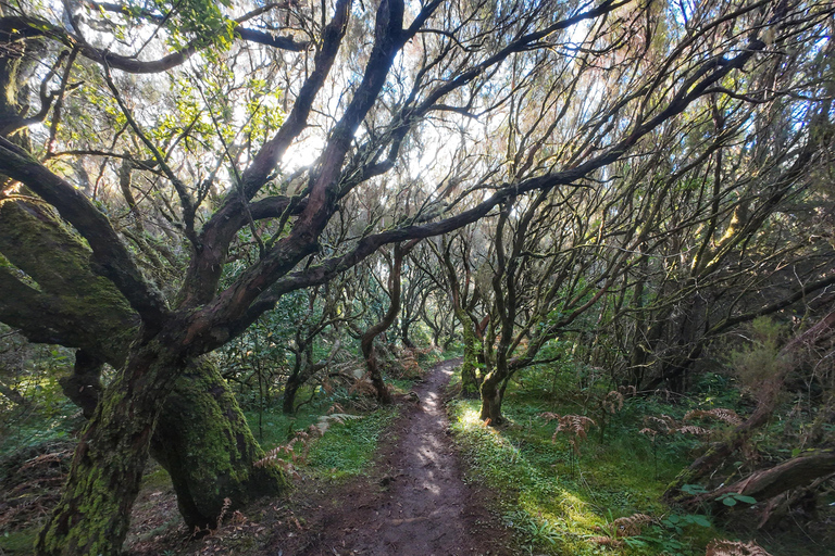 Madeira: PR17 Bica da Cana Encumeada Guided Hike with Pickup Madeira: Bica da Cana to Encumeada Guided Hike with Pickup