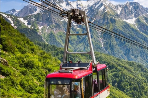 Kanazawa: Tateyama Alpine Route Private Day Trip