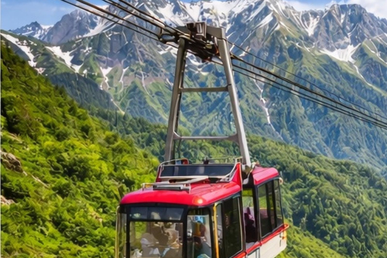Kanazawa: Tateyama Alpine Route Private Day Trip