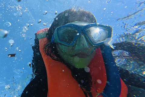 Cebu: Oslob Whale Sharks, Aguinid Falls & Moalboal Snorkling Shared Tour Option