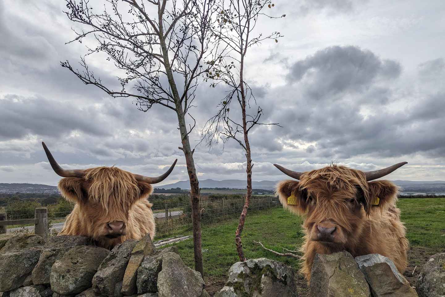 Edinburgh: Harry Potter, Glenfinnan & Highlands Private Tour